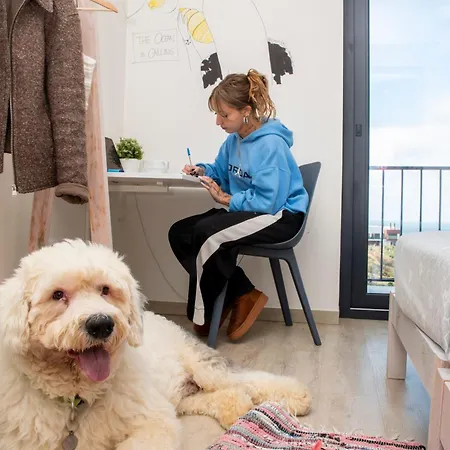 Wot Surf Social Hostel