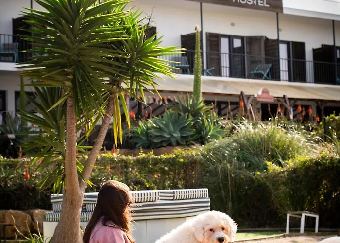 Hostel Wot Surf Social *